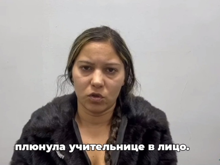 Суд назначил штраф жительнице Кургана, плюнувшей в лицо учительнице