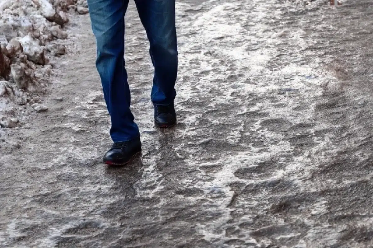 Глава Екатеринбурга призвал к активной уборке городских территорий-0