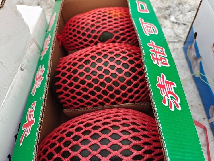 Первые арбузы появятся на прилавках магазинов в Кургане