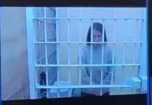 spravedlivost vostorzhestvovala sud podtverdil prigovor po delu o finansovyh mahinacziyah-stanural-ru-174058140600-0