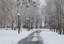 Тепло и снег придут в Свердловскую область в конце февраля teplo i sneg pridut v sverdlovskuyu oblast v koncze fevralya-stanural-ru-174031178500-0