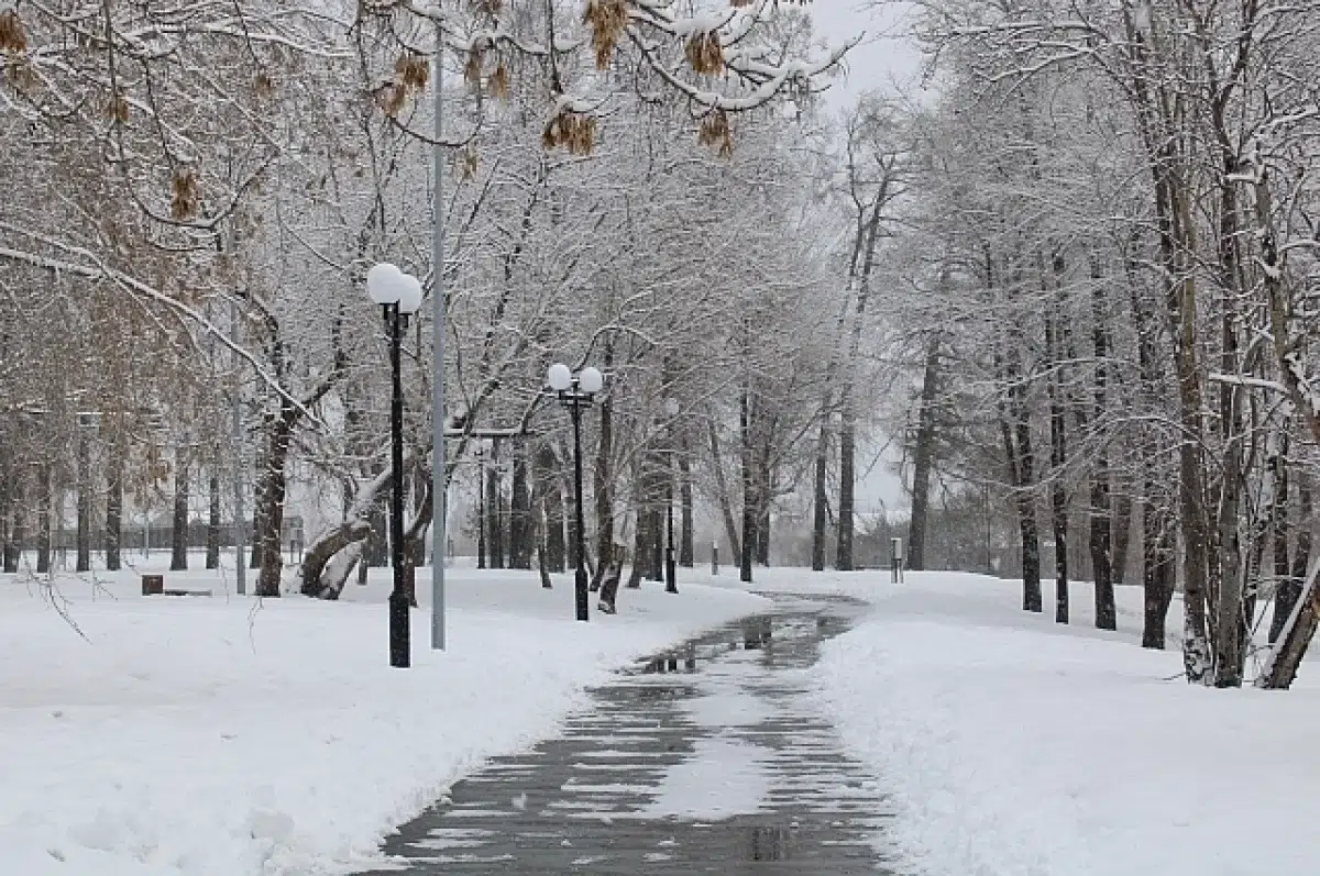 Тепло и снег придут в Свердловскую область в конце февраля-0