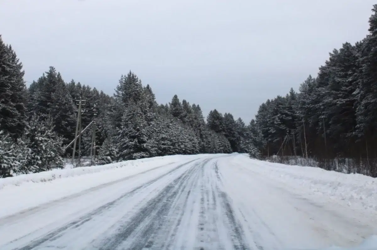 Тепло, снег и гололедица: какой будет погода в Свердловской области-0