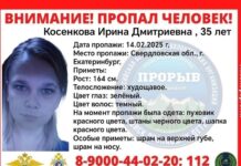 В Екатеринбурге продолжаются поиски 35-летней Ирины в красной шапке v ekaterinburge prodolzhayutsya poiski 35letnej iriny v krasnoj shapke-stanural-ru-174032842700-0