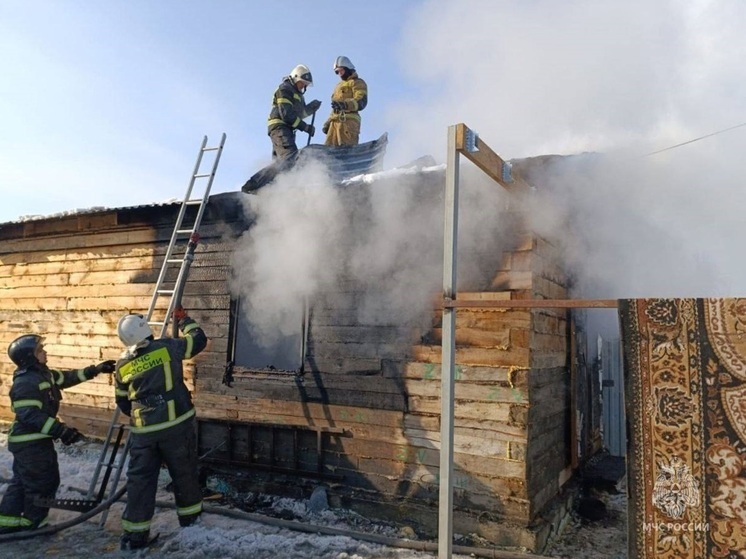 Вадим Шумков обратился с просьбой к курганцам