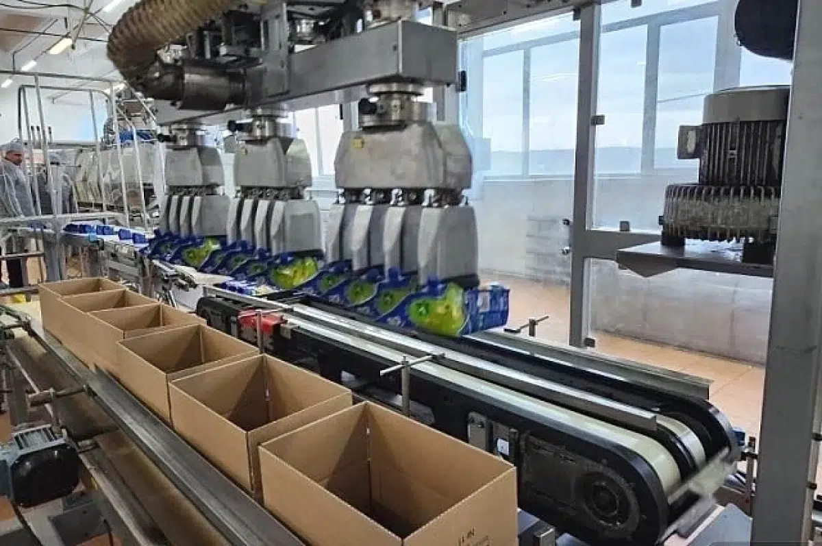 Аграрии Урала осваивают международные рынки с государственной поддержкой-0