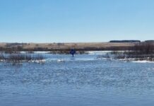 aktivnye mery zashhity ot podtoplenij v czelinnom okruge kurganskoj oblasti-stanural-ru-174283558300-0 - stanural