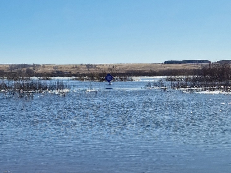 В Целинном округе вода затопила подъезды к мосту и дороги