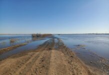 Безопасность на трассе Иртыш в Курганской области контролирует Госавтоинспекция bezopasnost na trasse irtysh v kurganskoj oblasti kontroliruet gosavtoinspekcziya-stanural-ru-174291343500-0