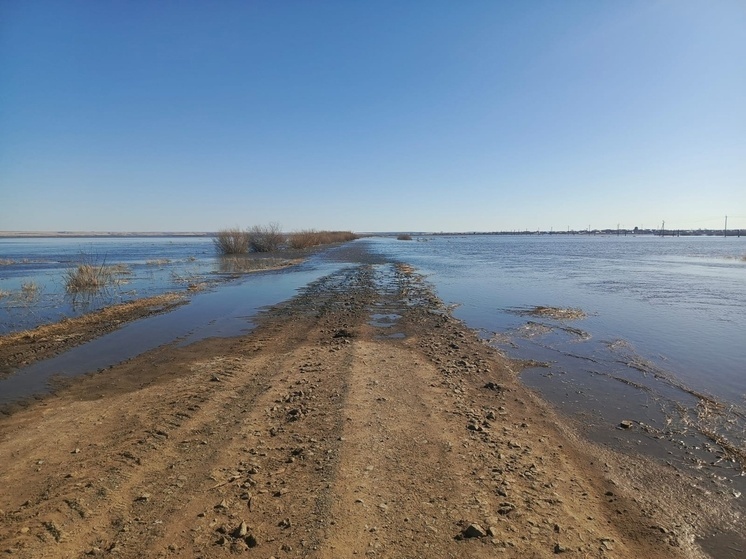 Прекратили движение из-за паводка на дороге в Курганской области