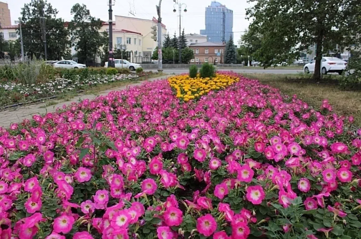 Екатеринбург расцветет: 5,5 гектаров новых цветников в парках Уралмаш и Преображенский-0