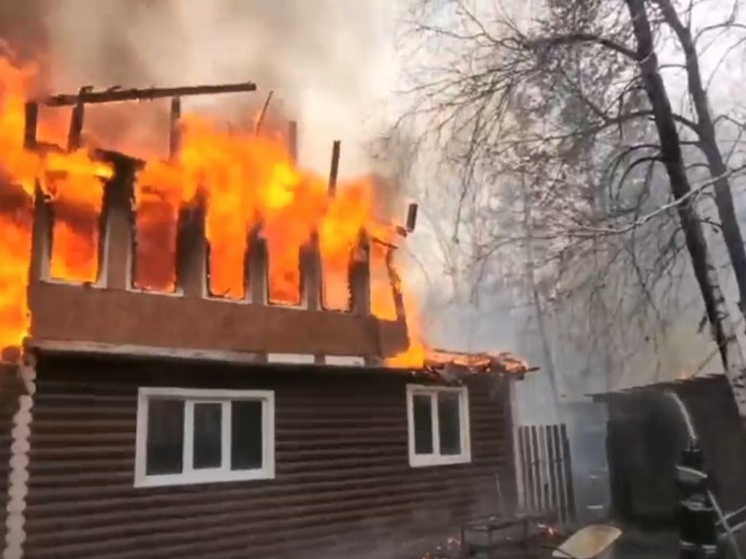 В Зауралье спасатели потушили крупный пожар, вспыхнувший в СНТ