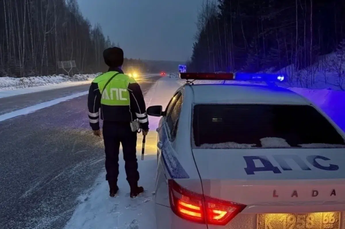 ГИБДД Свердловской области призывает к вниманию на дорогах Среднего Урала в Екатеринбурге-0