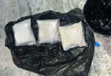 Обнаружение 81,5 кг наркотиков в Останино Свердловской области obnaruzhenie 815 kg narkotikov v ostanino sverdlovskoj oblasti-stanural-ru-174221512800-0