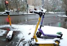 Почти треть горожан поддержала идею полного запрета СИМ в Екатеринбурге pochti tret gorozhan podderzhala ideyu polnogo zapreta sim v ekaterinburge-stanural-ru-174156432200-0