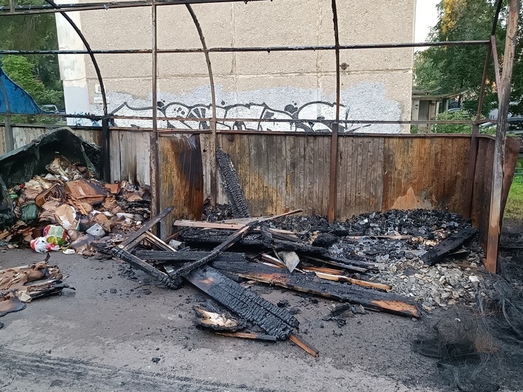 В Екатеринбурге сгорела контейнерная площадка на Шефской