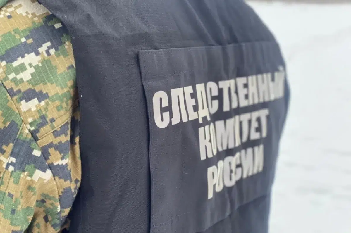 Пожилая жительница Свердловской области предстанет перед судом после новогоднего инцидента-0