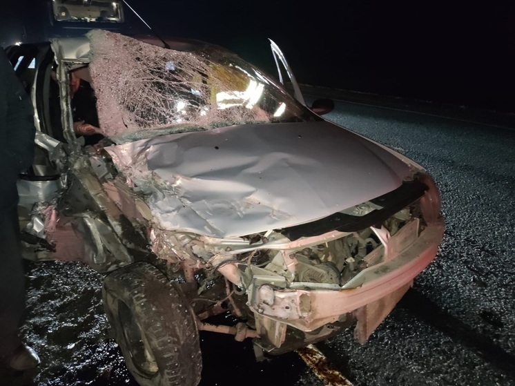 Пассажир иномарки пострадал в ДТП с «ГАЗ Next» на курганской трассе