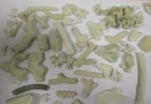 Редкие кораллы из Дубая в Екатеринбург находка жительницы Кургана в аэропорту Кольцово redkie korally iz dubaya v ekaterinburg nahodka zhitelniczy kurgana v aeroportu kolczovo-stanural-ru-174193139500-0