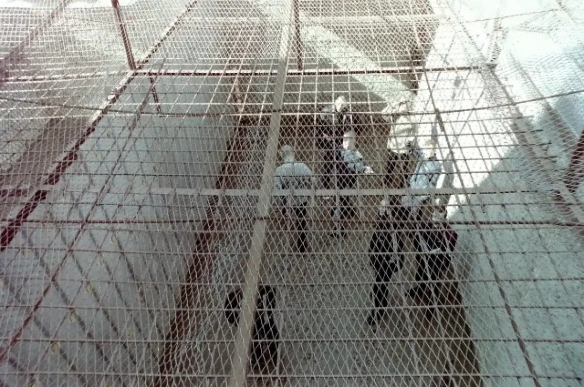 Ревдинский суд отказал в смягчении наказания жителю Свердловской области-0