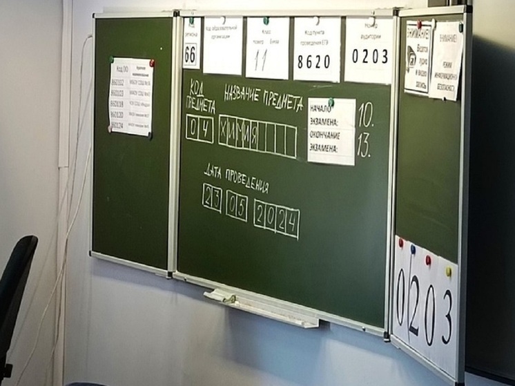 Родители будущих екатеринбургских выпускников сдали ЕГЭ по математике