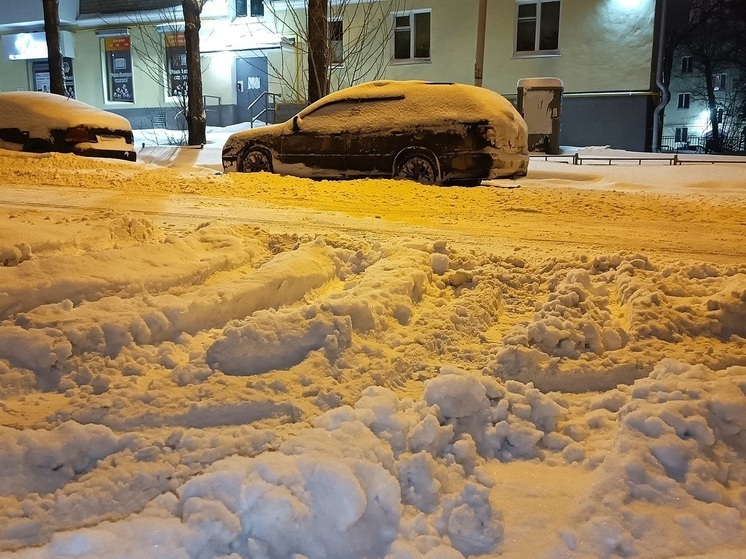 В Курганской области росгвардейцы вытащили машину, увязшую в снегу