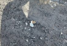 Сотрудники УМВД Кургана изъяли гашиш и защитили общество от наркотиков sotrudniki umvd kurgana izyali gashish i zashhitili obshhestvo ot narkotikov-stanural-ru-174332401700-0