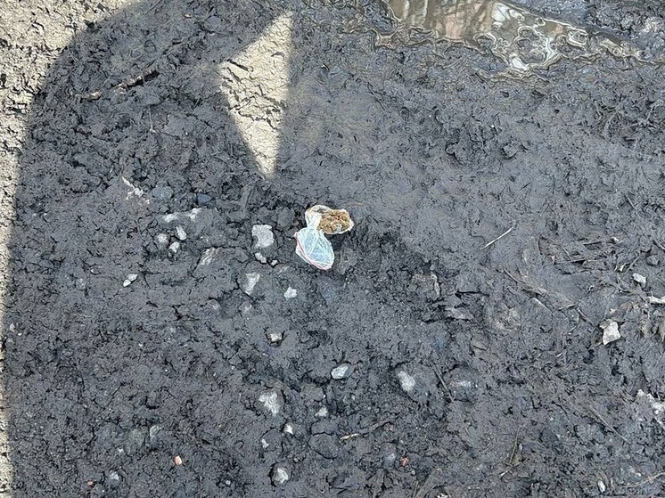 Полицейские изъяли у жительницы Кургана гашиш