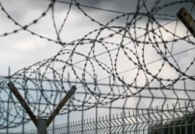 Справедливость восторжествовала в Тавде Свердловской области по делу о преступлении spravedlivost vostorzhestvovala v tavde sverdlovskoj oblasti po delu o prestuplenii-stanural-ru-174344099800-0