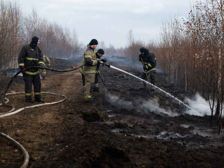 До начала свердловского пожароопасного сезона осталось две недели