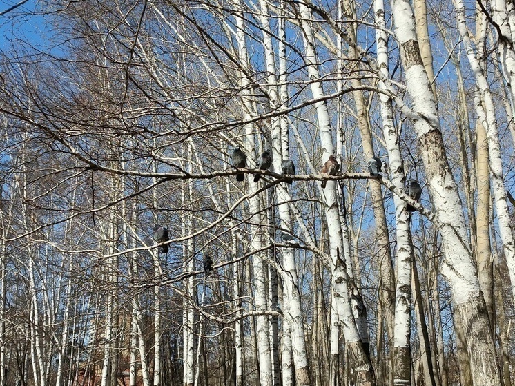Свердловские муниципалитеты должны подготовиться к пожароопасному сезону