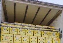 Свежие поставки овощей и фруктов обогатили ассортимент Екатеринбурга svezhie postavki ovoshhej i fruktov obogatili assortiment ekaterinburga-stanural-ru-174161038800-0