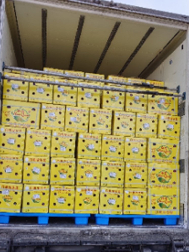 Почти 135 тонн овощей и фруктов доставили в Екатеринбург из КНР и Турции