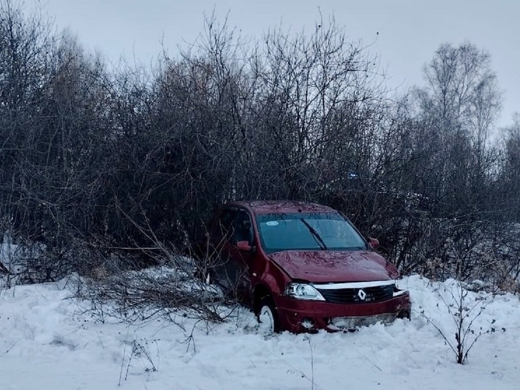 Пьяный водитель получил серьезные травмы, вылетев с курганской дороги