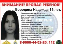 Внимание, Екатеринбург! Помогите найти Надежду Бородину vnimanie ekaterinburg pomogite najti nadezhdu borodinu-stanural-ru-174084091400-0