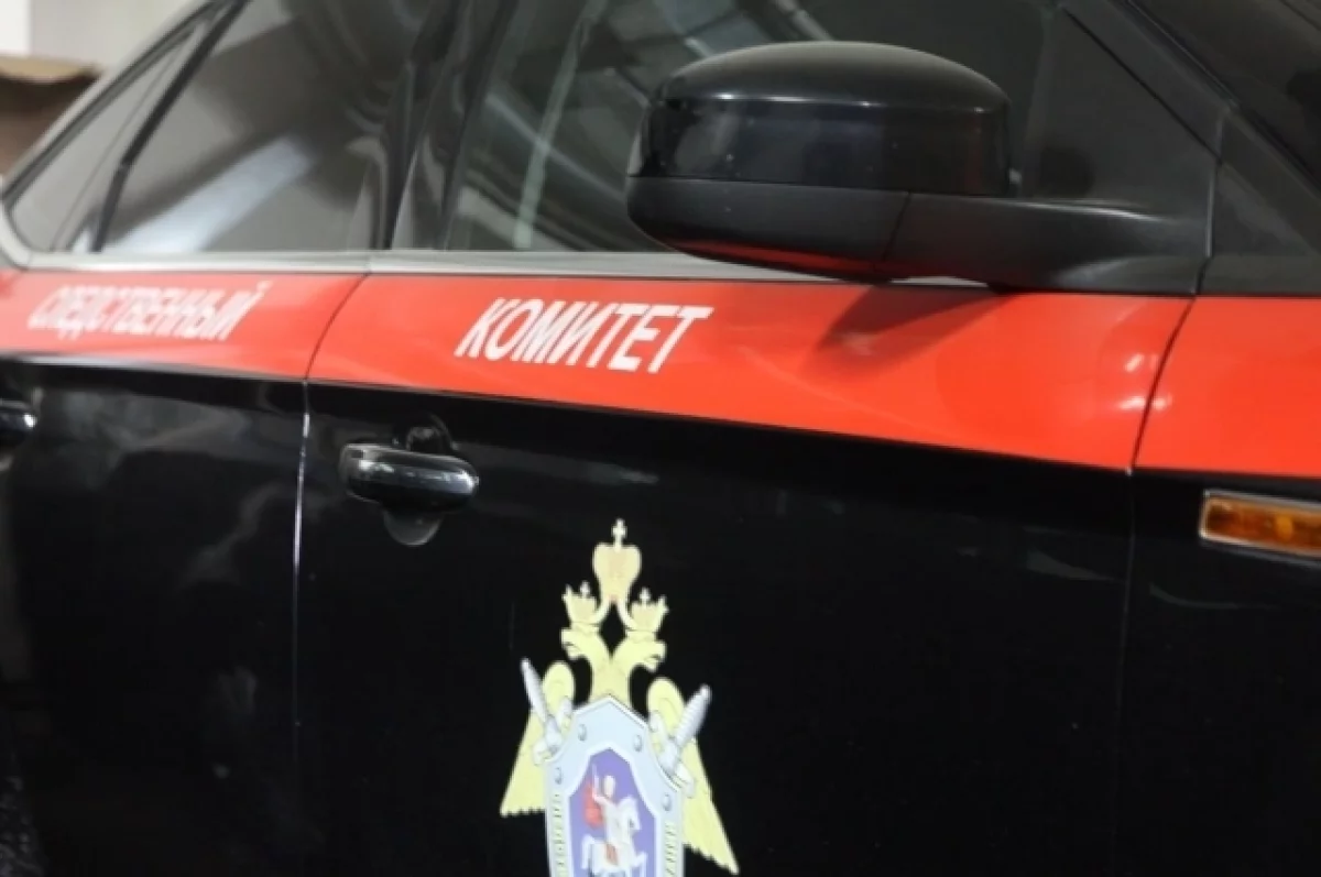 Волчанск и Карпинск закрыли дело об убийстве 11-летней девочки спустя 22 года-0