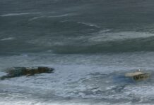 Жизнь в деревне Духовка Шатровского района сохраняет стабильность у реки Исеть zhizn v derevne duhovka shatrovskogo rajona sohranyaet stabilnost u reki iset-stanural-ru-174283308700-0