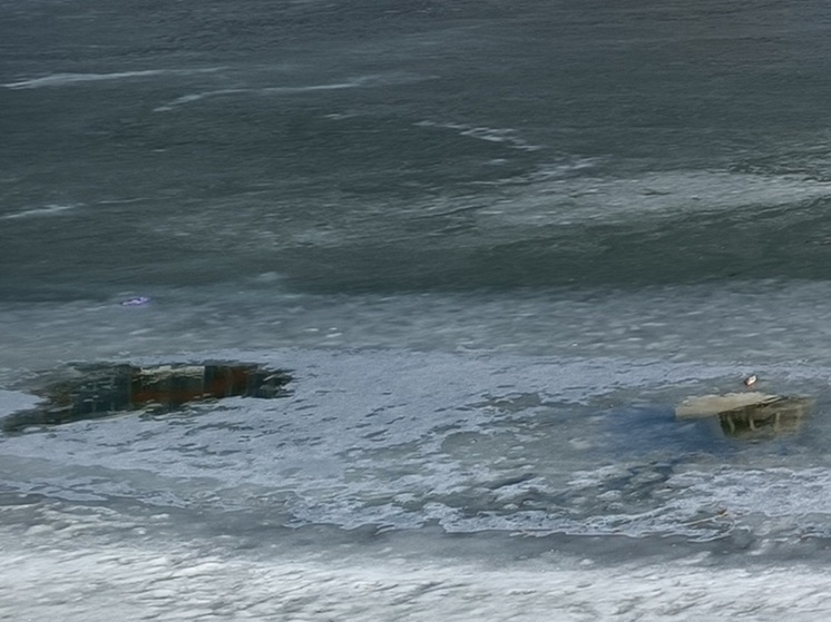 В Курганской области частично затоплен мост через реку Исеть