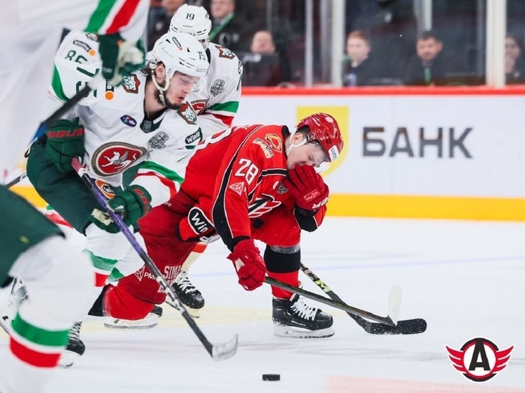 Депутат предлагает обратить внимание на судейство в матчах «Автомобилиста»