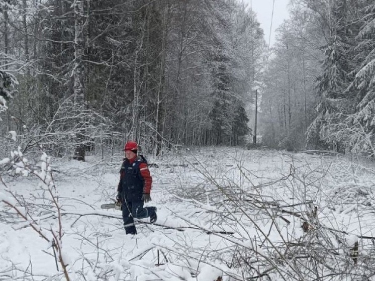 Снегопад нарушил электроснабжение в Свердловской области
