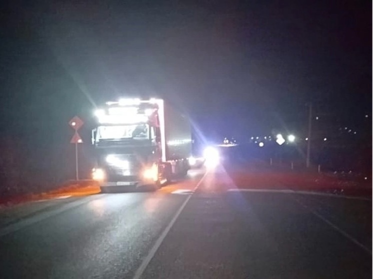 Подросток получил тяжелые травмы, попав под фуру на курганской трассе