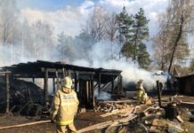 gu mchs operativno likvidirovalo pozhar na ulicze lva tolstogo v novolyalinskom okruge-stanural-ru-174571969600-0