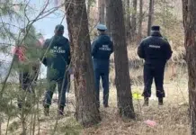 МЧС и Берёзовский ГО усиливают защиту лесов Свердловской области mchs i beryozovskij go usilivayut zashhitu lesov sverdlovskoj oblasti-stanural-ru-174522119900-0