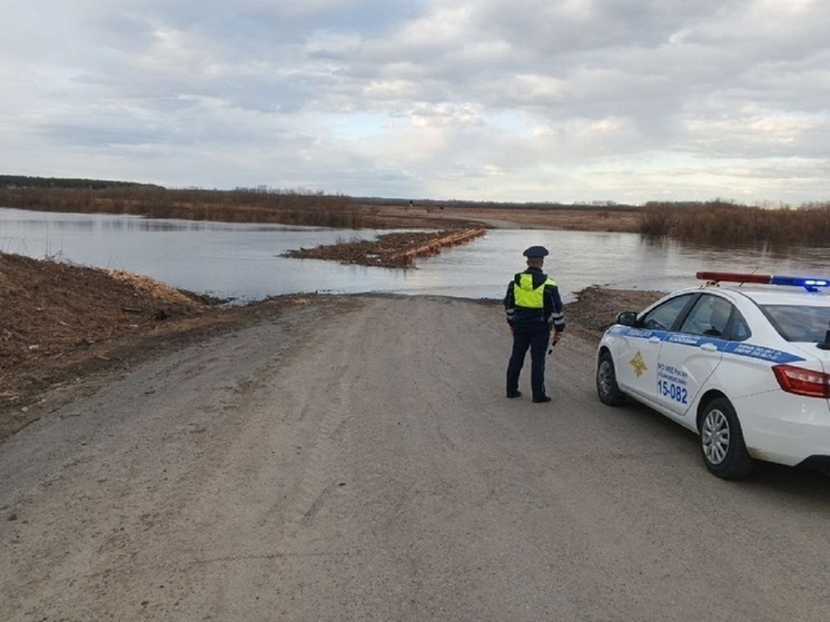 6 мостов затоплено и 1 разобран в Свердловской области