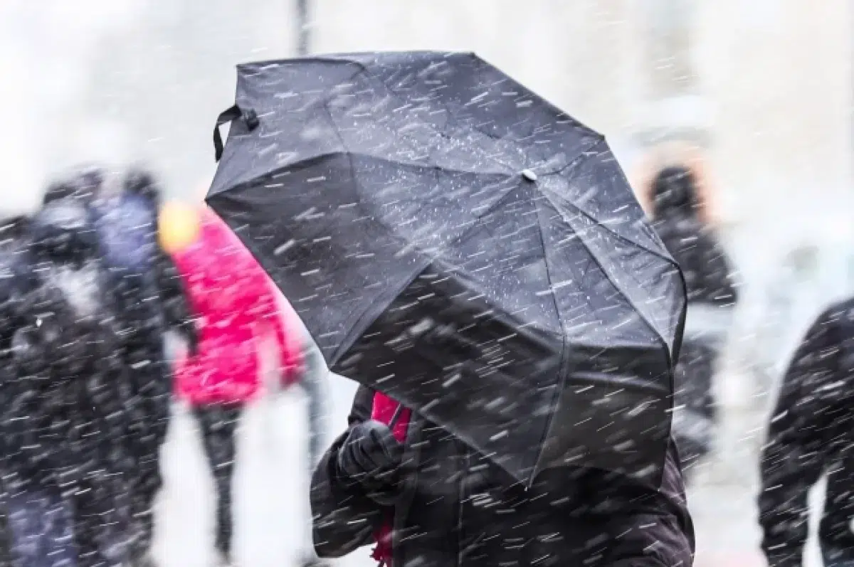 Погода в Екатеринбурге порадует разнообразием весной-0