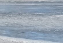 Полицейские Полевского спасли ребёнка у Северского пруда policzejskie polevskogo spasli rebyonka u severskogo pruda-stanural-ru-174525060900-0