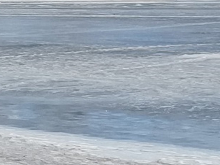 Полицейские спасли тонувшего мальчика в Полевском