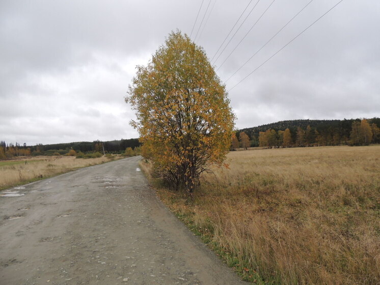 Суд обязал отремонтировать дорогу, на состояние которой жаловались курганцы