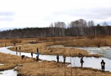 С 25 апреля нерестовый запрет на рыбалку в Свердловской области и озере Таватуй s 25 aprelya nerestovyj zapret na rybalku v sverdlovskoj oblasti i ozere tavatuj-stanural-ru-174495276700-0