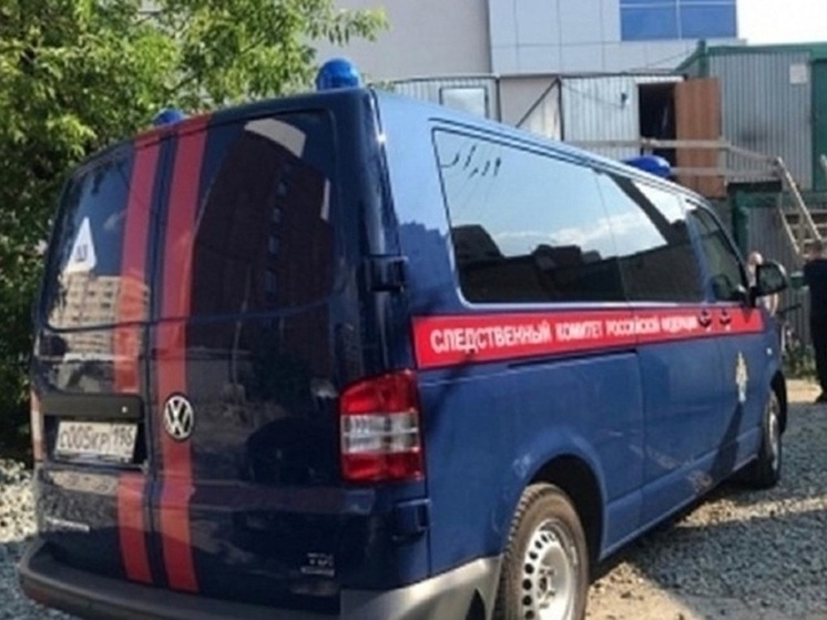 Свердловские следователи СКР задержали фигурантку дела об экстремистском сообществе